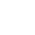 lang-icon